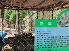 -青藏高原野生动物园