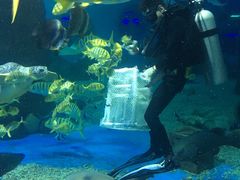 -北戴河圣蓝海洋公园