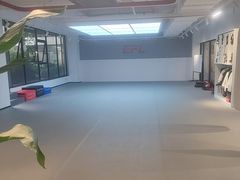 -EFL巴西柔术·综合格斗·泰拳·少儿体能训练(虹桥德必馆)