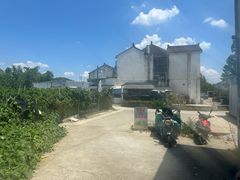 -老袁家蜜桃农场·阳山水蜜桃