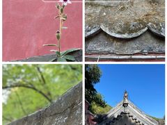 -潭柘寺景区