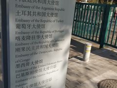 -三里屯东五街银杏大道
