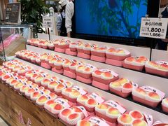 -阪急百货店(梅田总店)