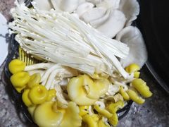 -仙蘑洞