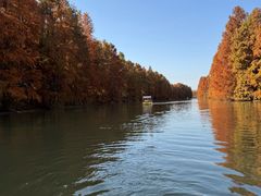 -上海海湾国家森林公园