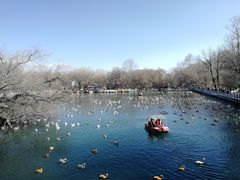 景点-宗角禄康公园