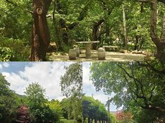 -大连植物园