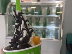 -Salud撒露欧洲冻酸奶(798艺术区店)