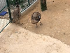 -泉州海丝野生动物世界