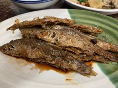 -张一品食府