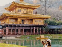 -千年银杏谷文化旅游区