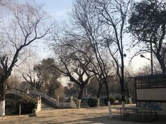 -咸阳湖景区-古渡公园