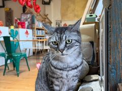 -小时光咖啡馆(开森度假森林店)