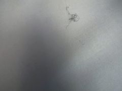 -济南南郊宾馆