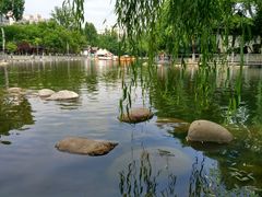 -莲湖公园