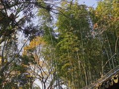 -秋霞圃