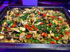 紫苏味招牌牛蛙锅-蛙来哒(湖州东吴银泰百货店)
