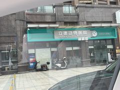 -立德动物医院·重症转诊·24H夜诊·CT·心脏彩超(顺德中心分院)