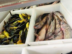 -江湖水乡铁锅炖魚(周庄嘉园店)