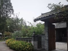 -桤木河湿地公园