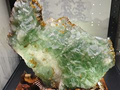 -甘肃地质博物馆