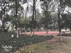 -后襄河公园