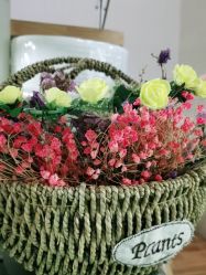 -净妍美肌专业净毛嫩肤连锁机构