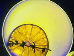 -好久不见网红乐队酒吧(鼓浪屿海底世界店)