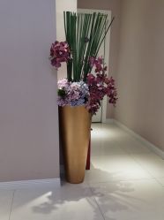 -蕾蕾美颜美容美体