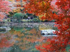 -醍醐寺