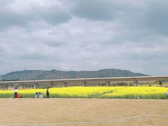 -光明小镇欢乐田园