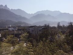 -宜城私房菜.臭鳜鱼(九华新街店)