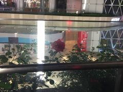 -听香·678茶铺(猛追湾店)