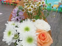 -荷兰花海