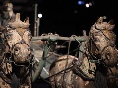 -秦始皇帝陵博物院-丽山园