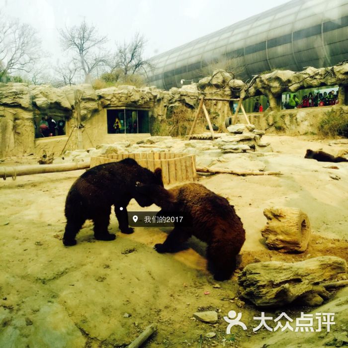 北京动物园图片 - 第6431张