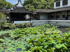 -上海醉白池公园