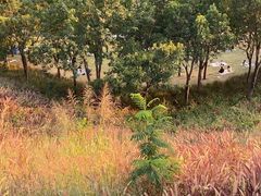 -白石龙音乐公园