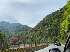 -紫鹊界梯田景区