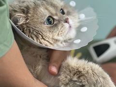 -达爱动物医院·犬猫分区·CT·复杂眼科(远洋山水分院)