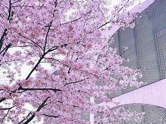 -龙美术馆(西岸馆)