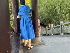 -范蠡湖公园