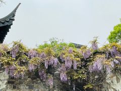 -惠山古镇·寄畅园