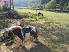 -武陵山森林公园