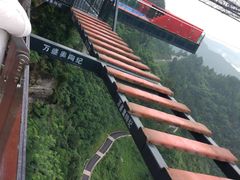 -梦幻奥陶纪景区