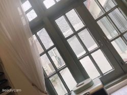 -BELLAREAL新美社