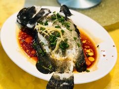 -老字号蛇口德记烧腊饭店·海鲜加工