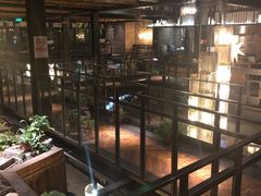 -D STAR COFFEE帝星咖啡