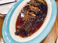 葱烧黄河鱼-九十九顶毡房(阜石路店)