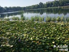 -郭守敬纪念馆